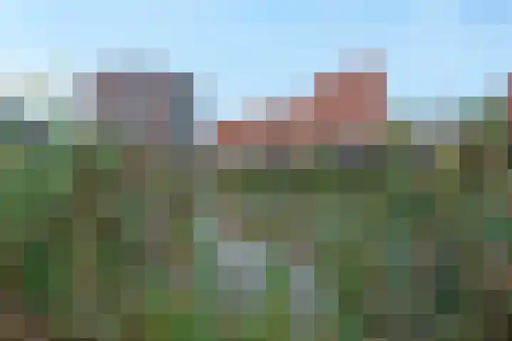 Zeijerveen 9 Amersfoort thumbnail 42