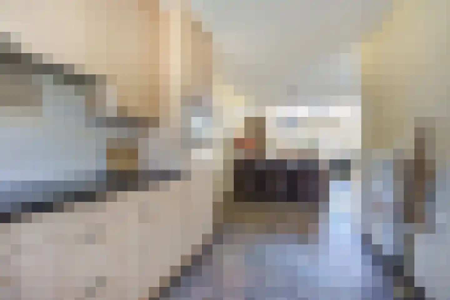 Zeil 9 Etten-Leur thumbnail 14