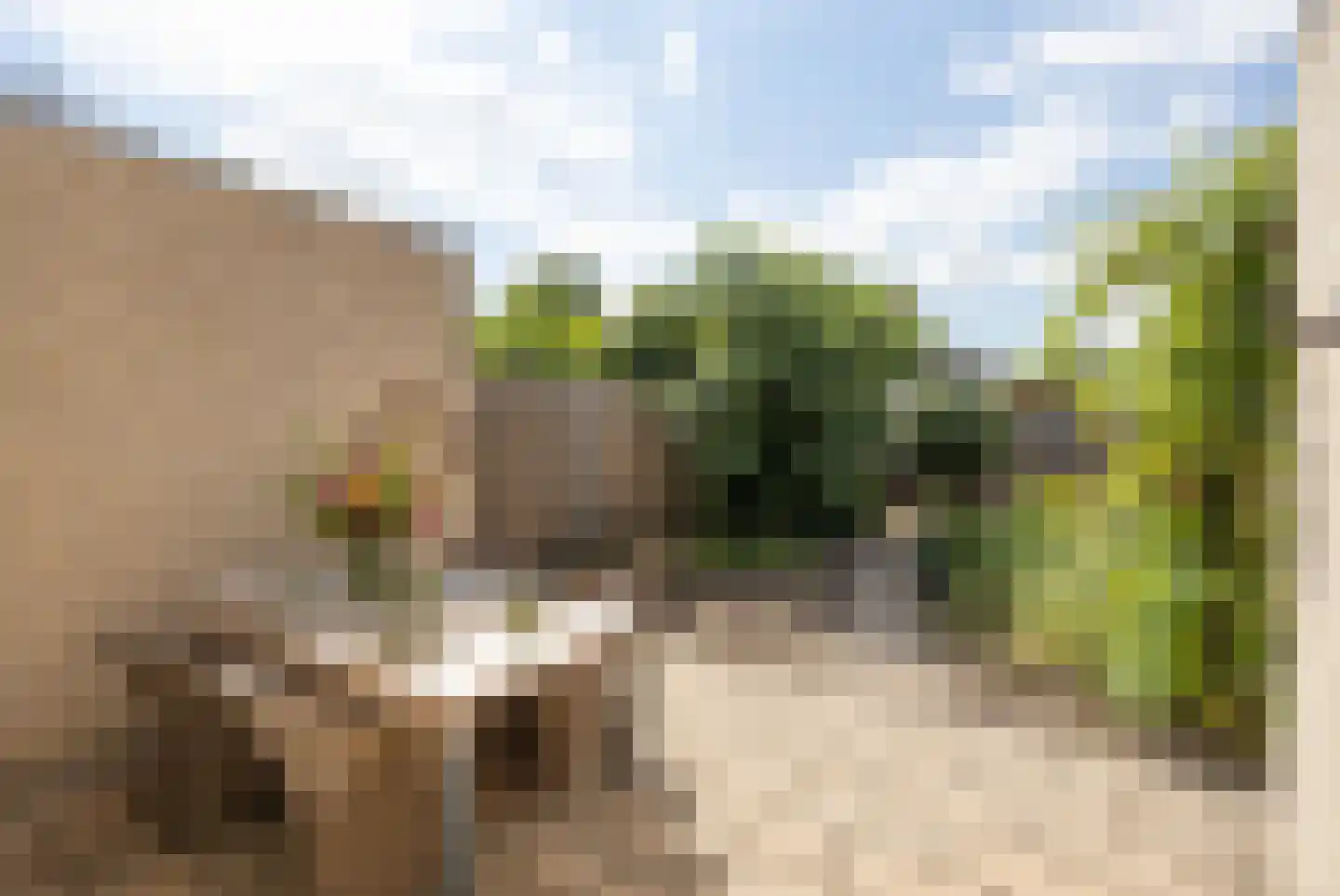 Zeil 9 Etten-Leur thumbnail 4