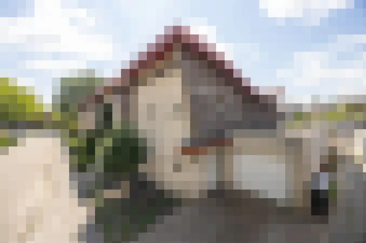 Zeil 9 Etten-Leur thumbnail 40