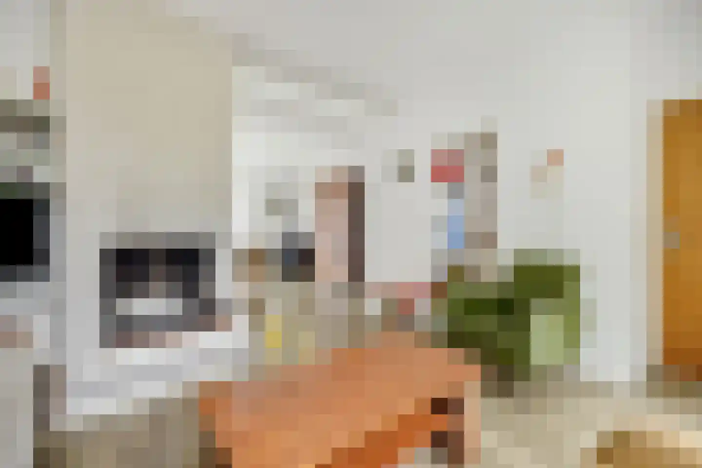 Zeilbergsestraat 103 Deurne thumbnail 14