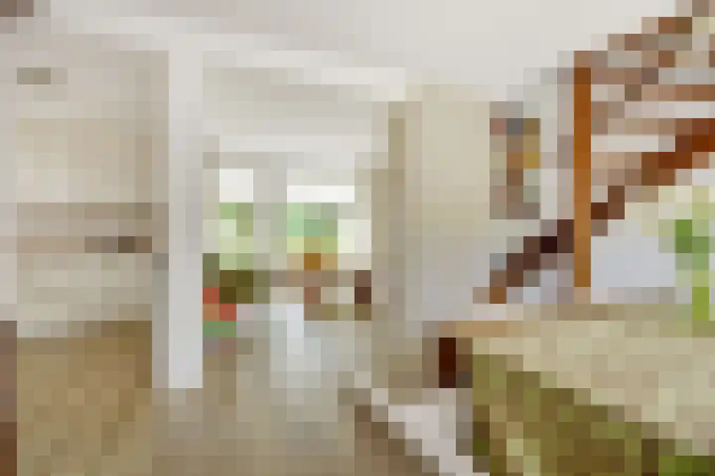 Zeilbergsestraat 103 Deurne thumbnail 17