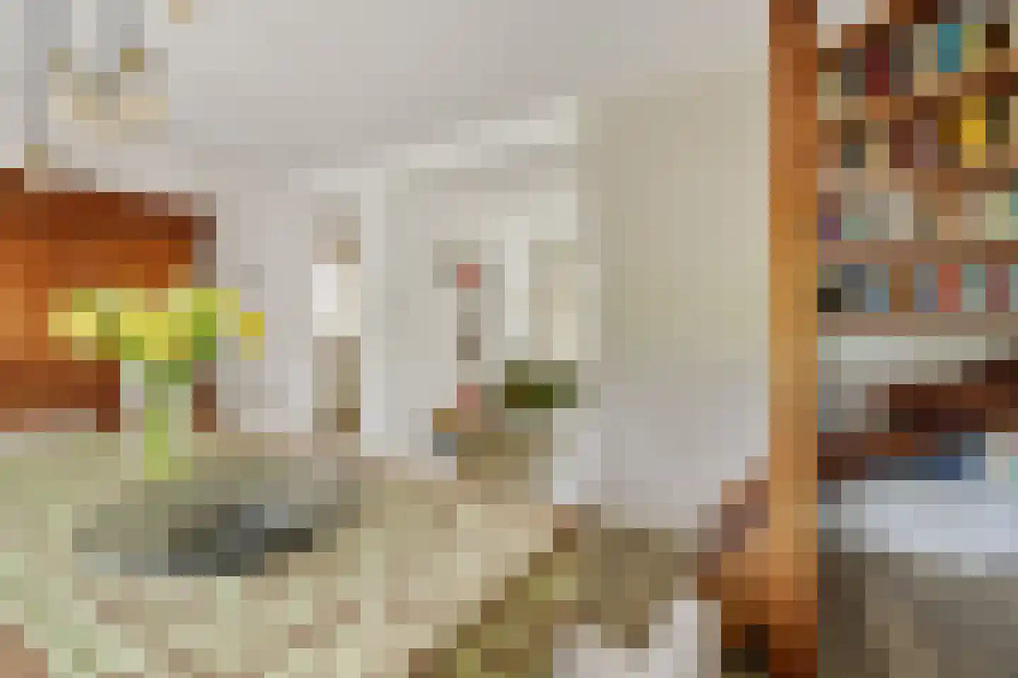 Zeilbergsestraat 103 Deurne thumbnail 18