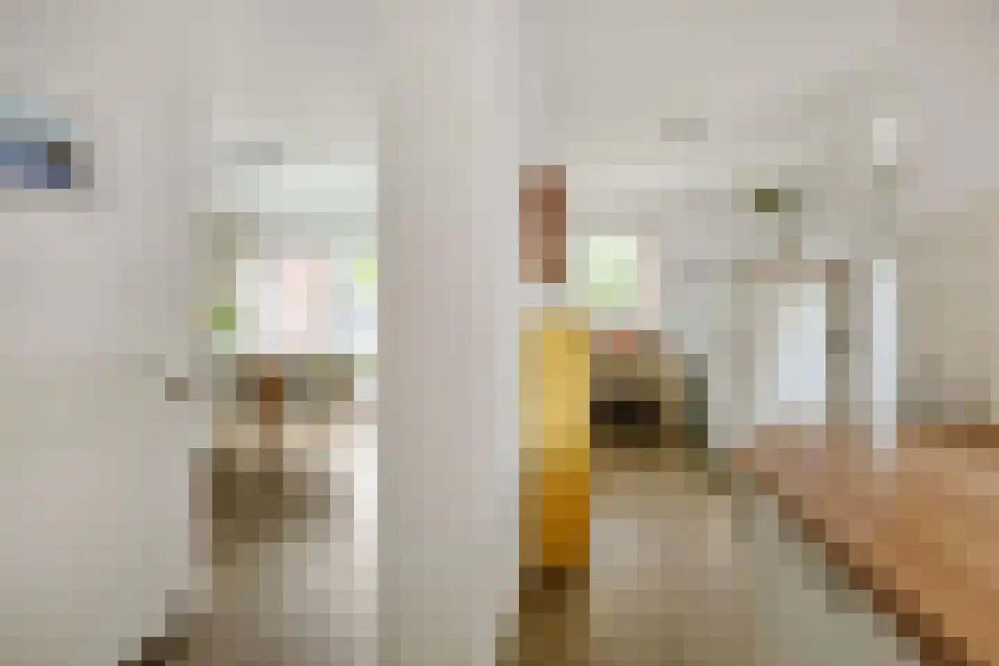 Zeilbergsestraat 103 Deurne thumbnail 22