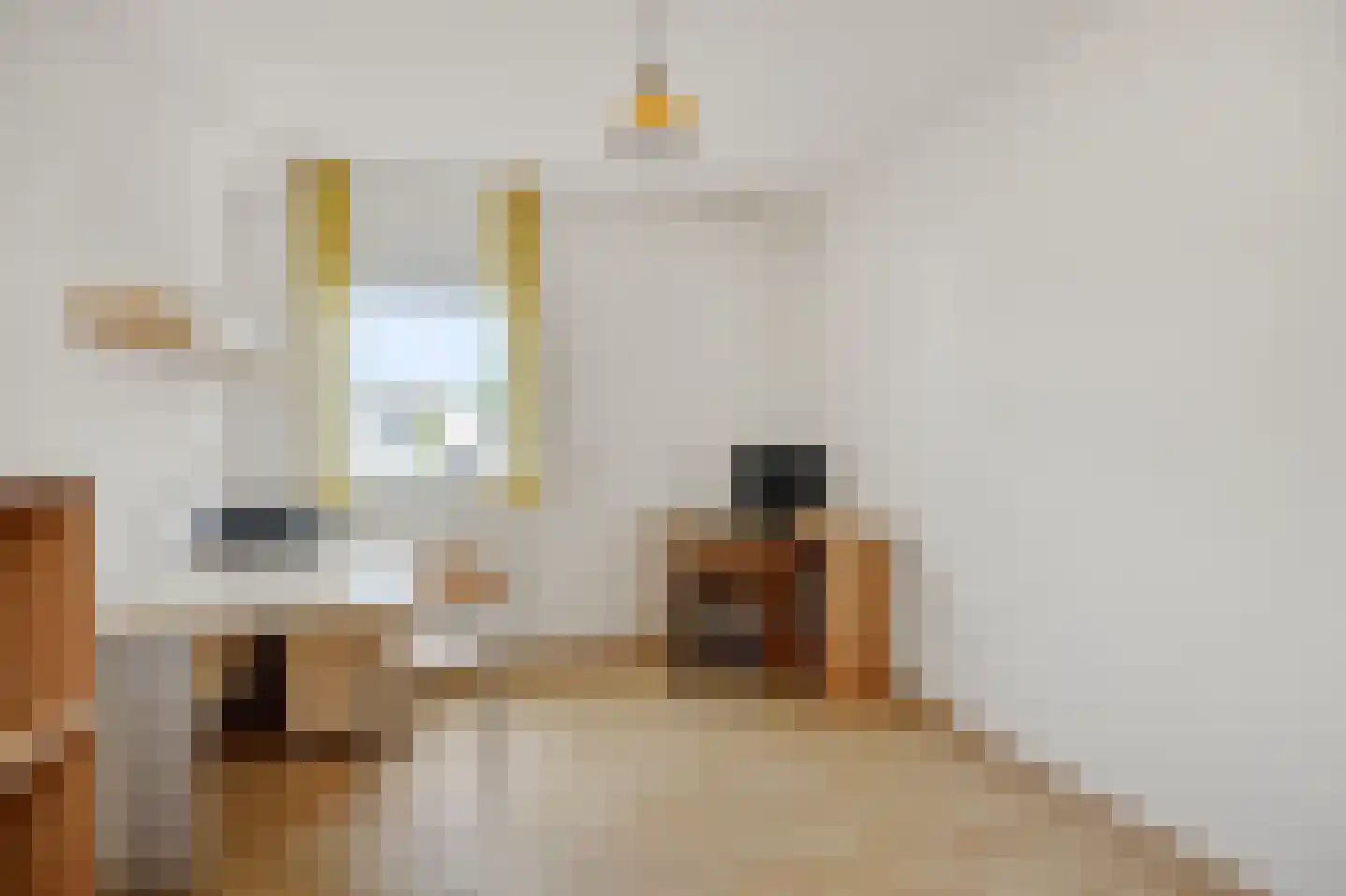 Zeilbergsestraat 103 Deurne thumbnail 27