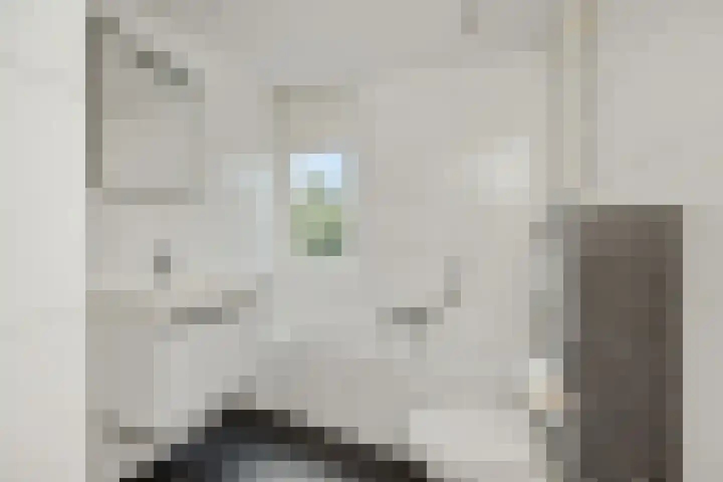 Zeilbergsestraat 103 Deurne thumbnail 31