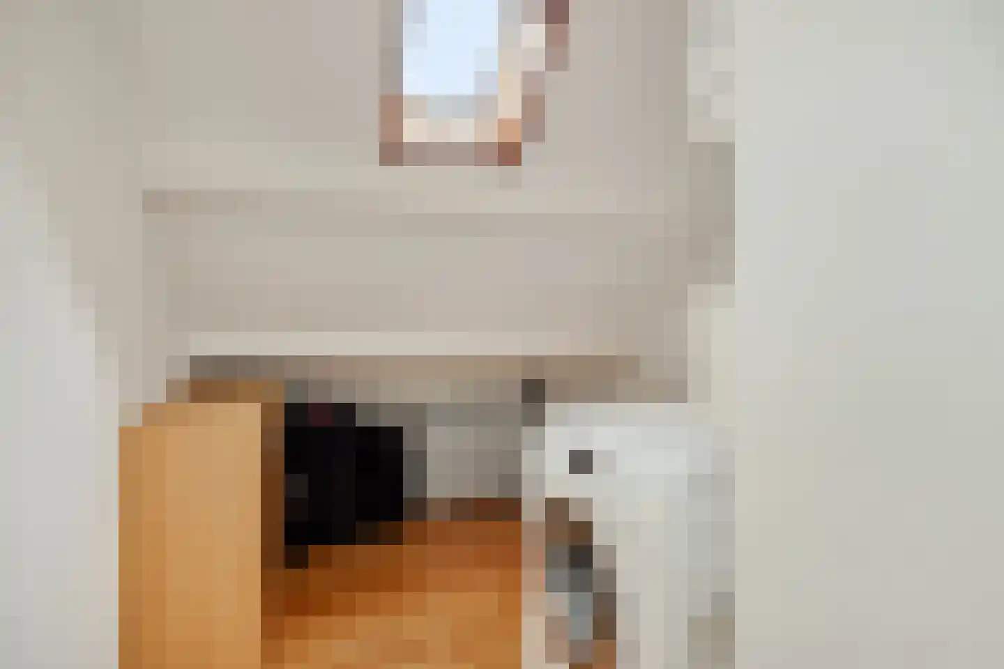 Zeilbergsestraat 103 Deurne thumbnail 35