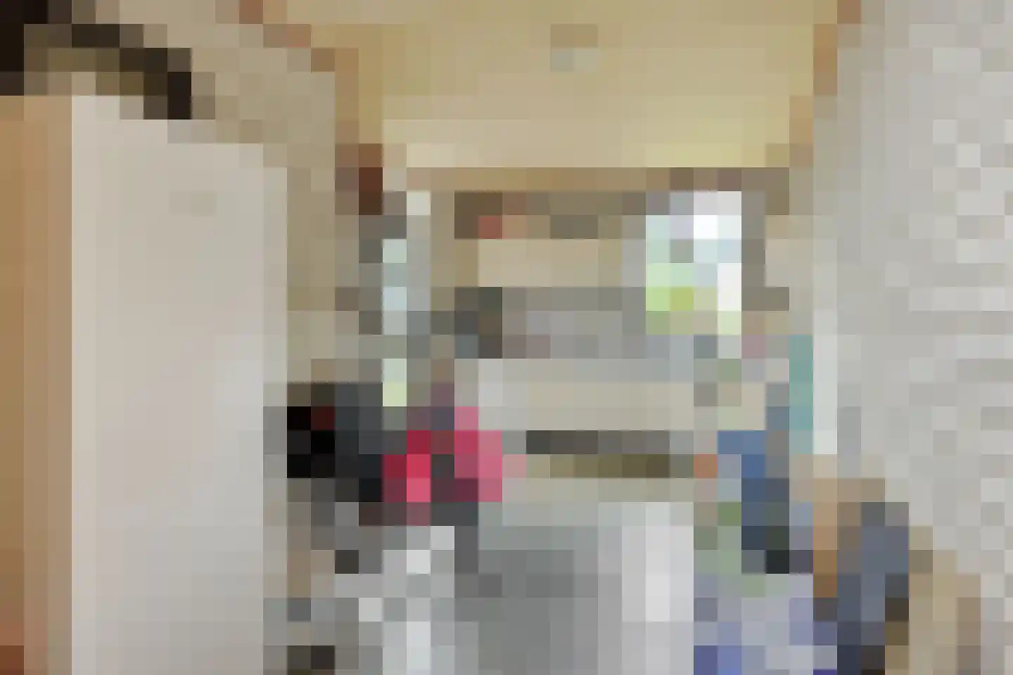 Zeilbergsestraat 103 Deurne thumbnail 38