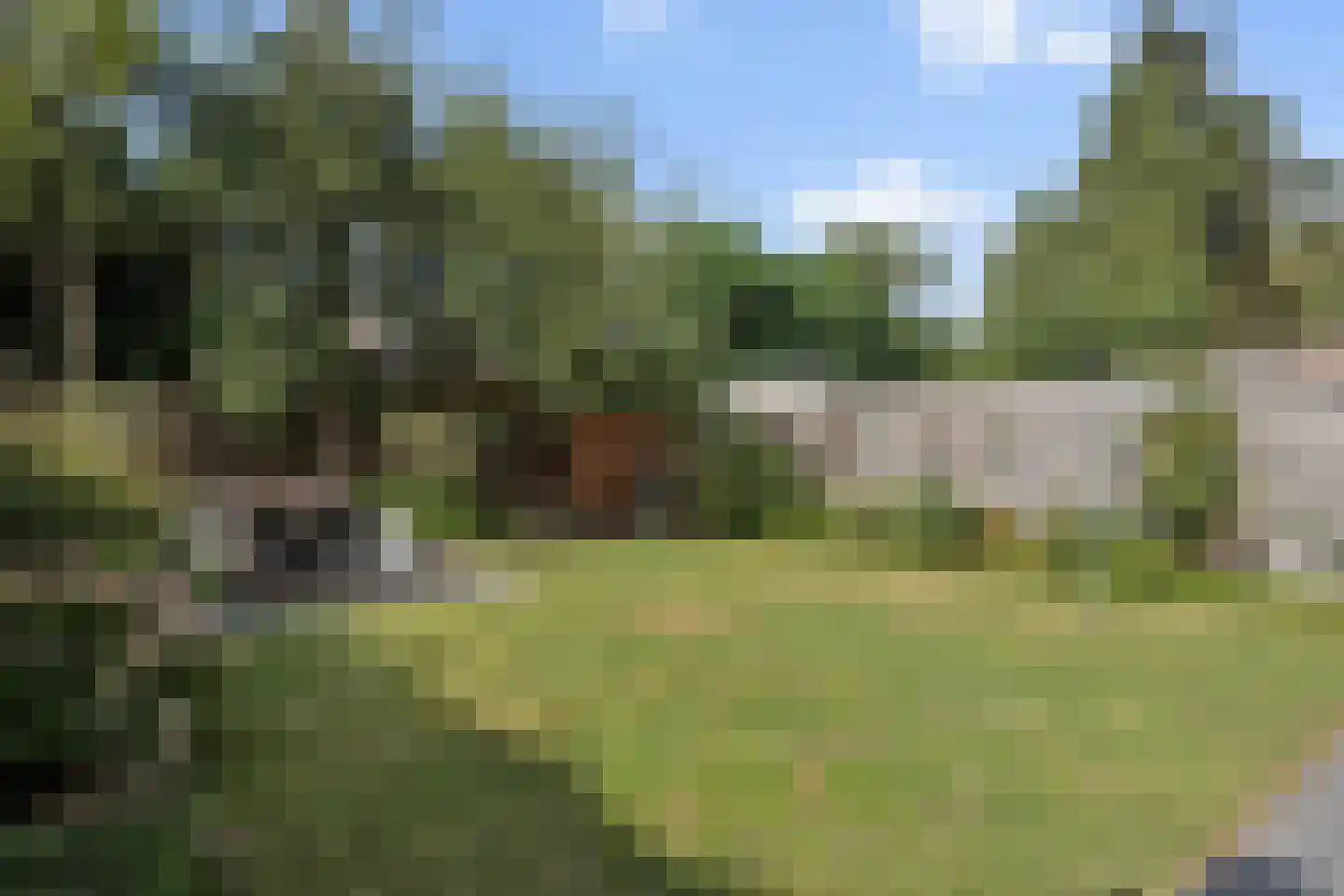 Zeilbergsestraat 103 Deurne thumbnail 41