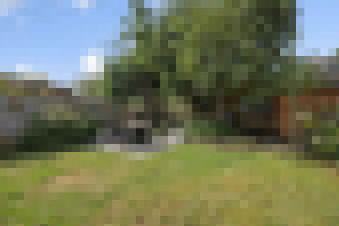 Zeilbergsestraat 103 Deurne thumbnail 42