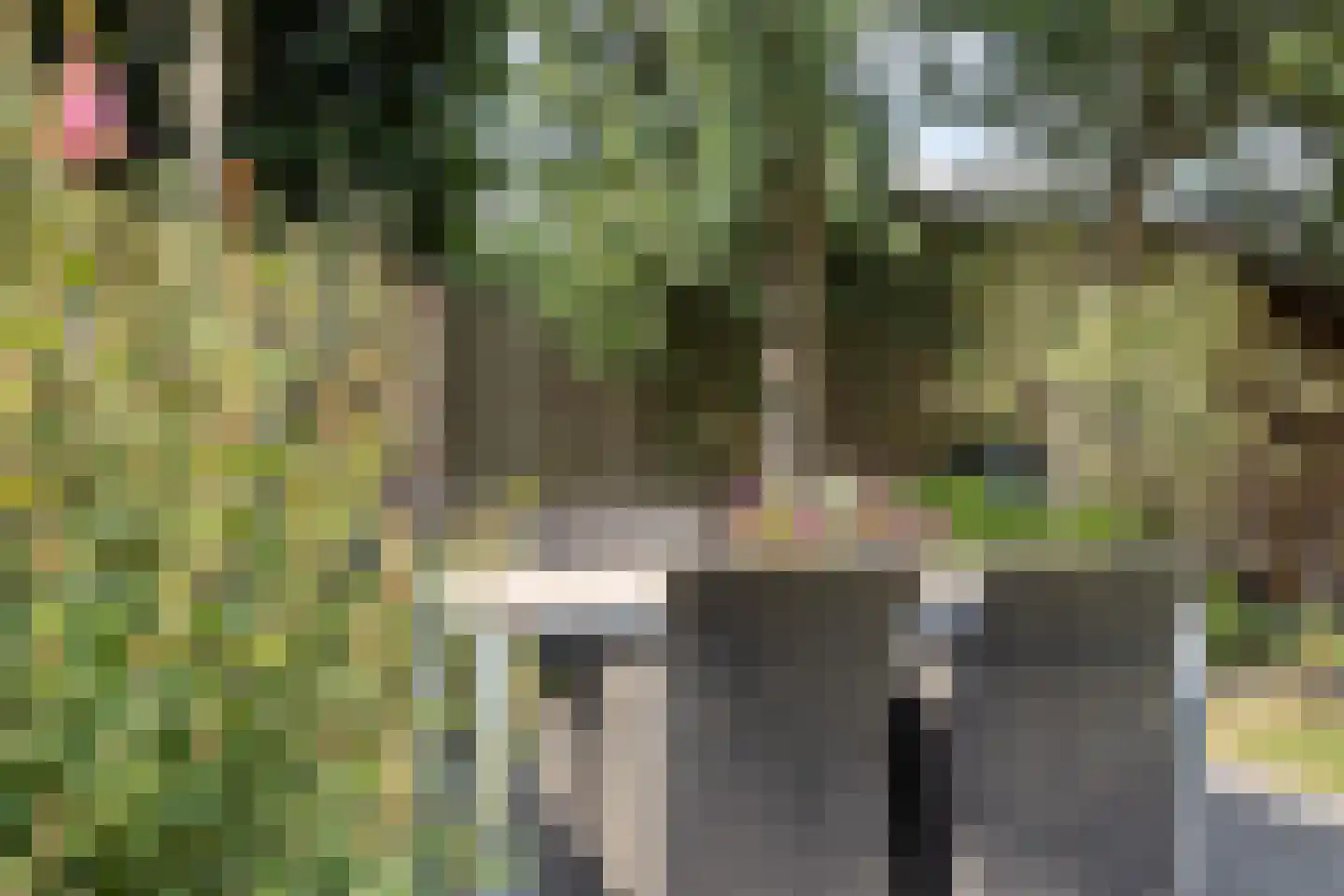 Zeilbergsestraat 103 Deurne thumbnail 43