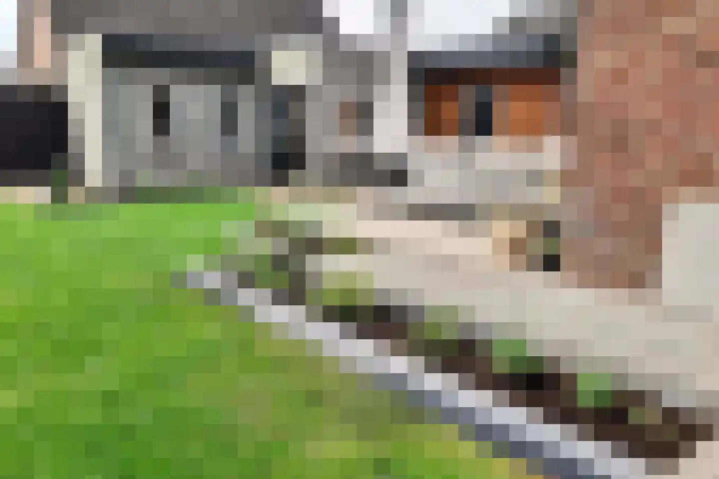 Zeilbergsestraat 33 Deurne thumbnail 16