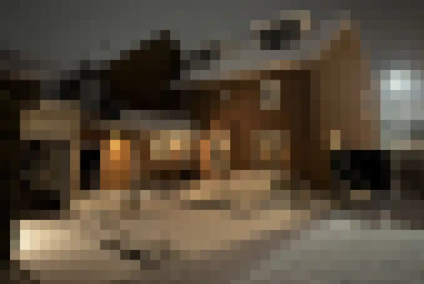 Zeilbergsestraat 33 Deurne thumbnail 21