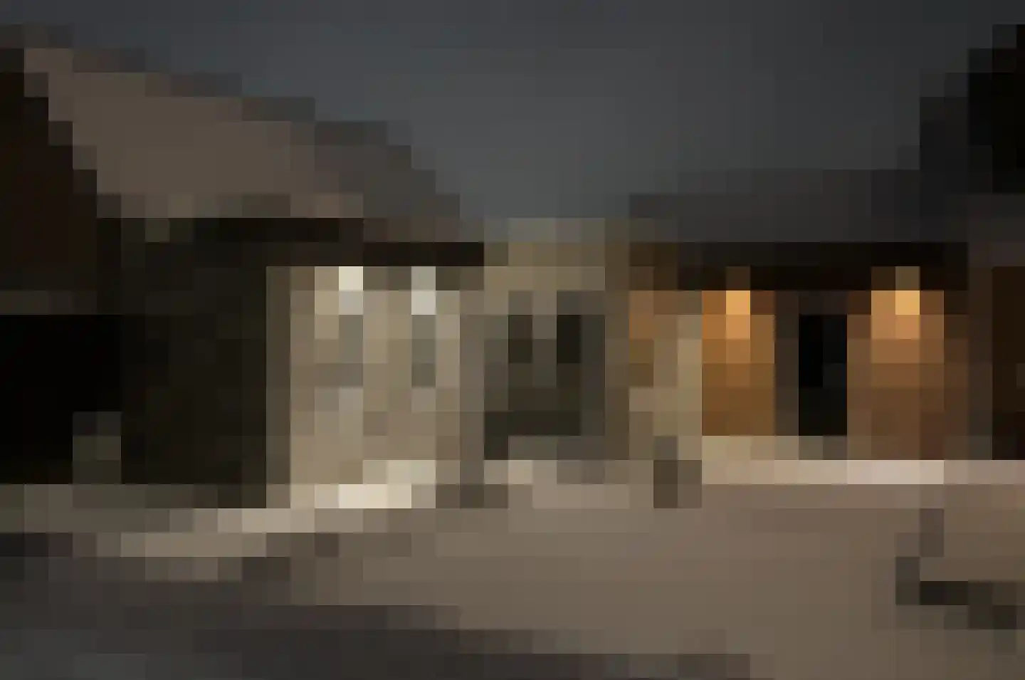 Zeilbergsestraat 33 Deurne thumbnail 22