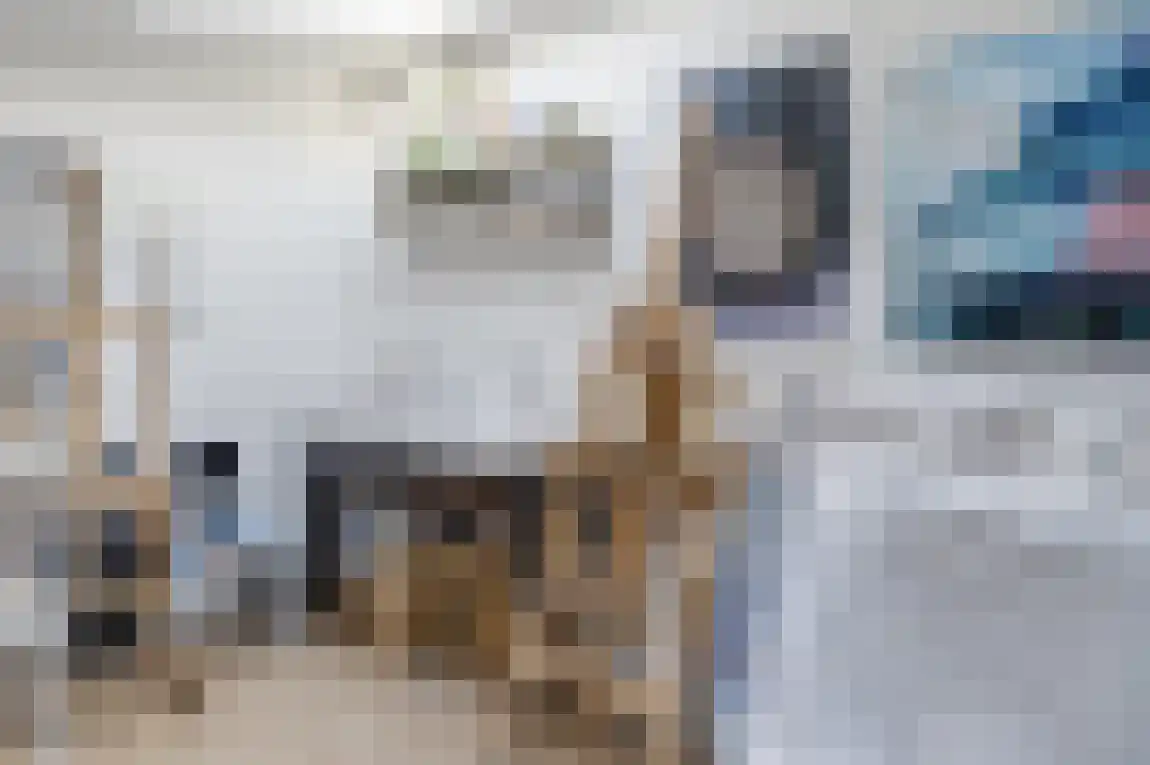 Zeilbergsestraat 33 Deurne thumbnail 41