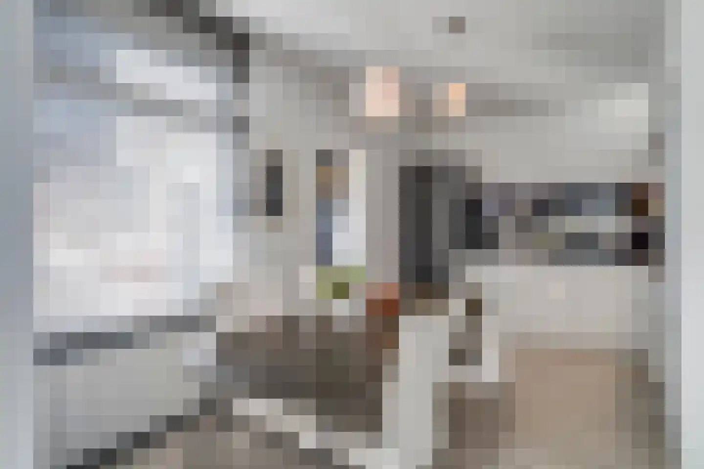 Zeilbergsestraat 33 Deurne thumbnail 8