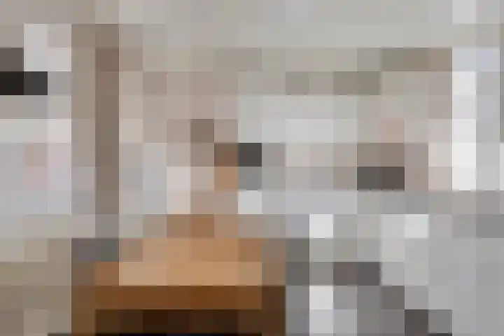 Zeilbergsestraat 37 Deurne thumbnail 16