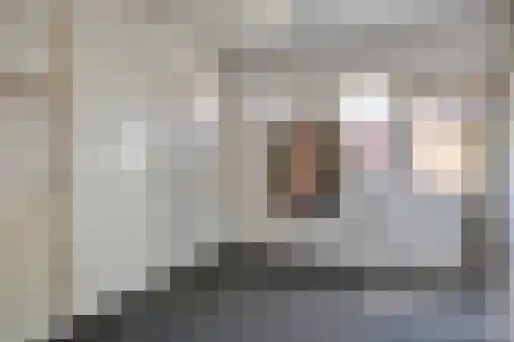 Zeilbergsestraat 37 Deurne thumbnail 18
