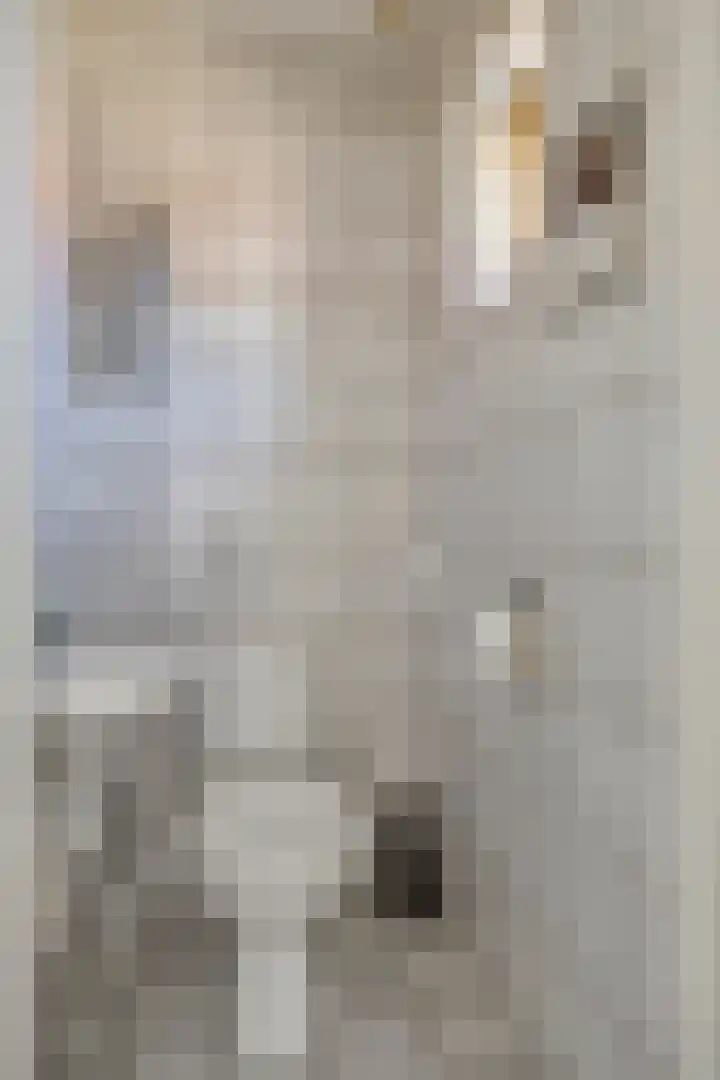 Zeilbergsestraat 37 Deurne thumbnail 19