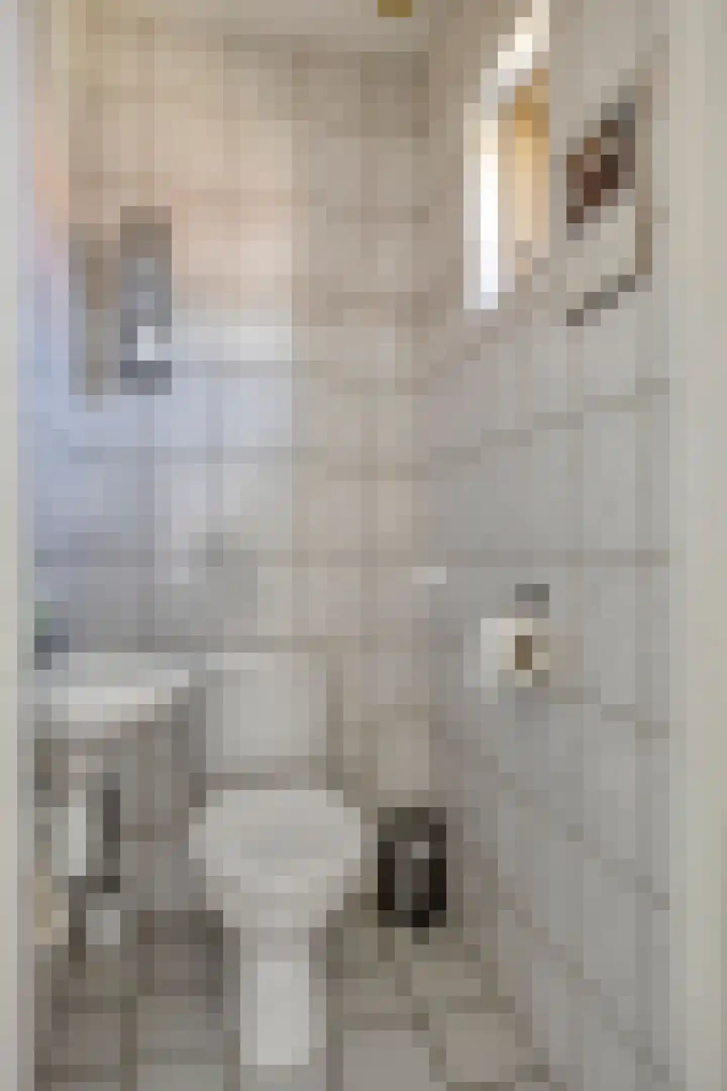 Zeilbergsestraat 37 Deurne thumbnail 19
