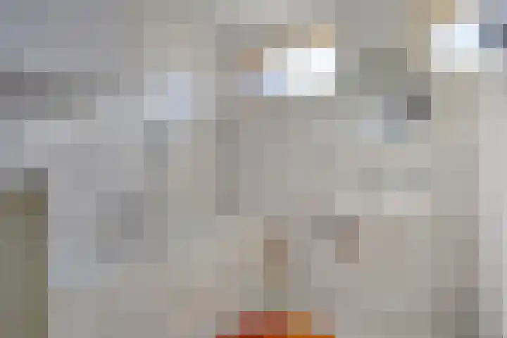 Zeilbergsestraat 37 Deurne thumbnail 20