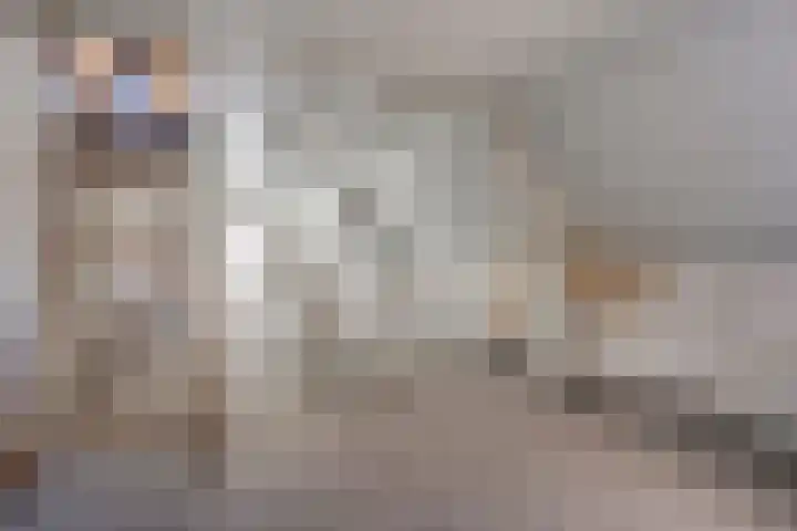 Zeilbergsestraat 37 Deurne thumbnail 24