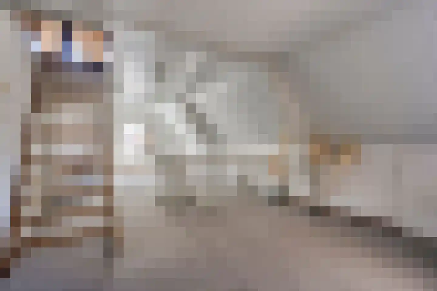 Zeilbergsestraat 37 Deurne thumbnail 24