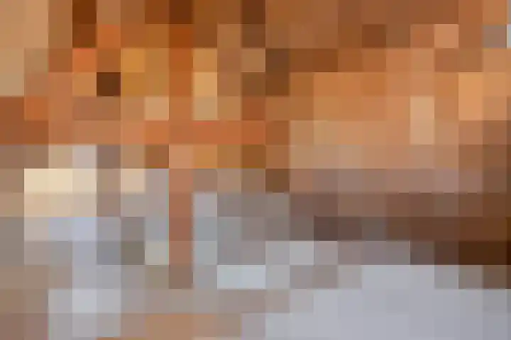 Zeilbergsestraat 37 Deurne thumbnail 32
