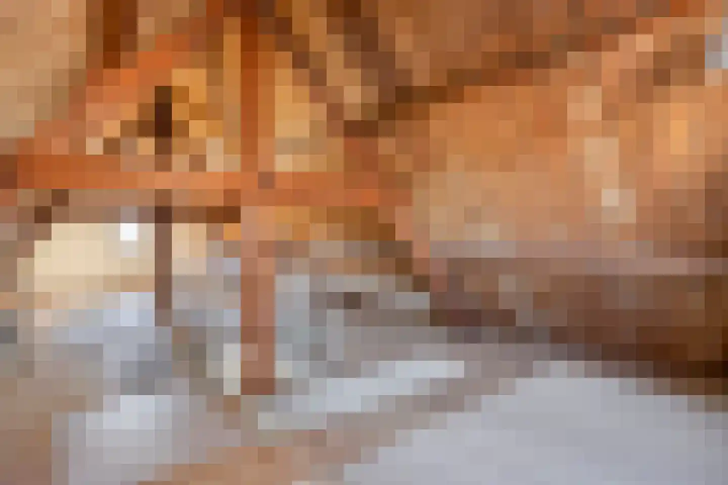 Zeilbergsestraat 37 Deurne thumbnail 32