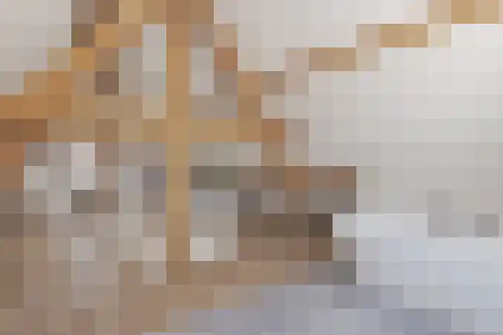 Zeilbergsestraat 37 Deurne thumbnail 33