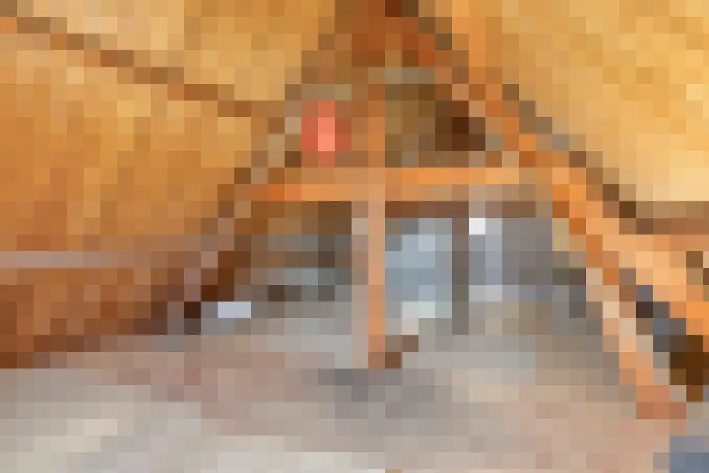 Zeilbergsestraat 37 Deurne thumbnail 34