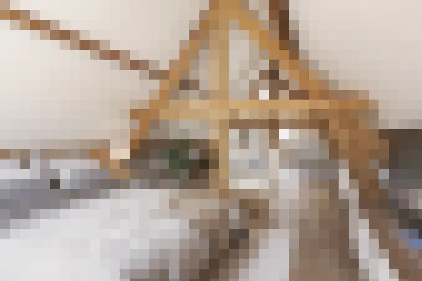 Zeilbergsestraat 37 Deurne thumbnail 35