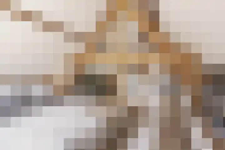 Zeilbergsestraat 37 Deurne thumbnail 35
