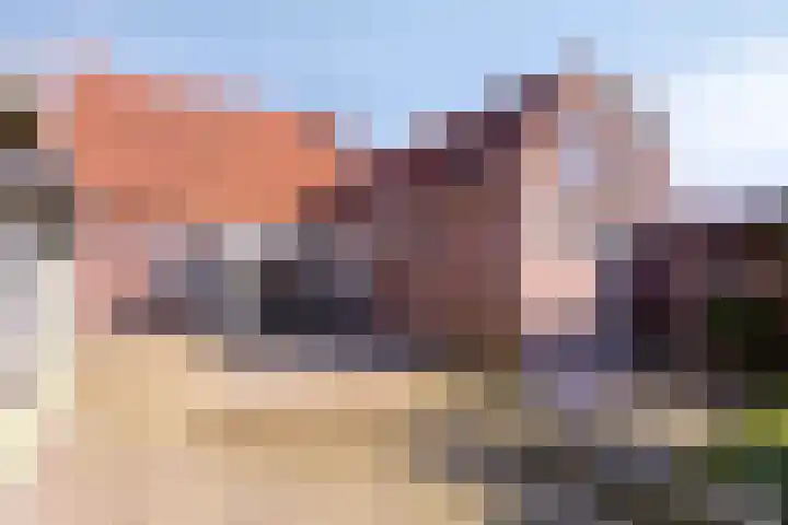 Zeilbergsestraat 37 Deurne thumbnail 37