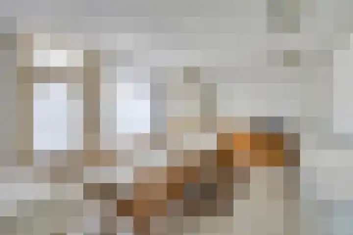 Zeilbergsestraat 37 Deurne thumbnail 4