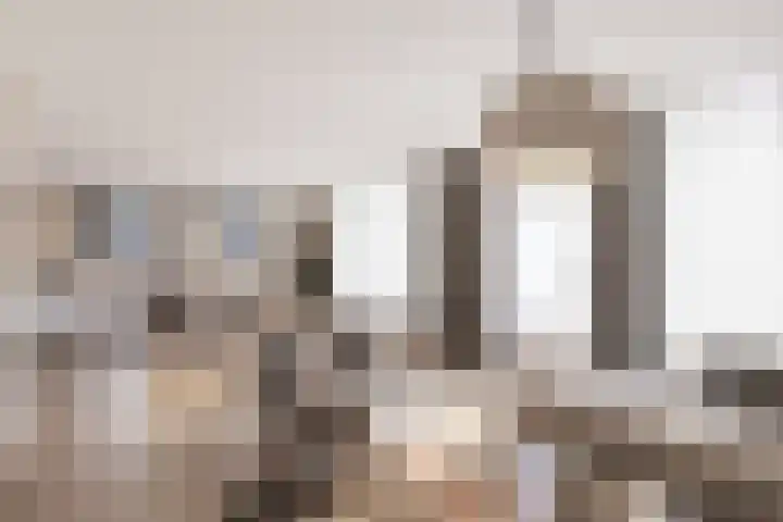 Zeilbergsestraat 37 Deurne thumbnail 6
