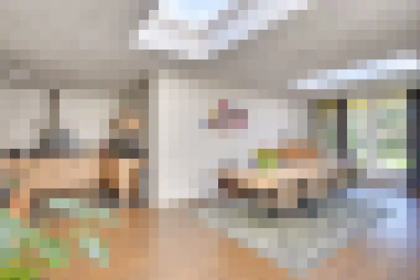Zeilbergsestraat 47 Deurne thumbnail 25