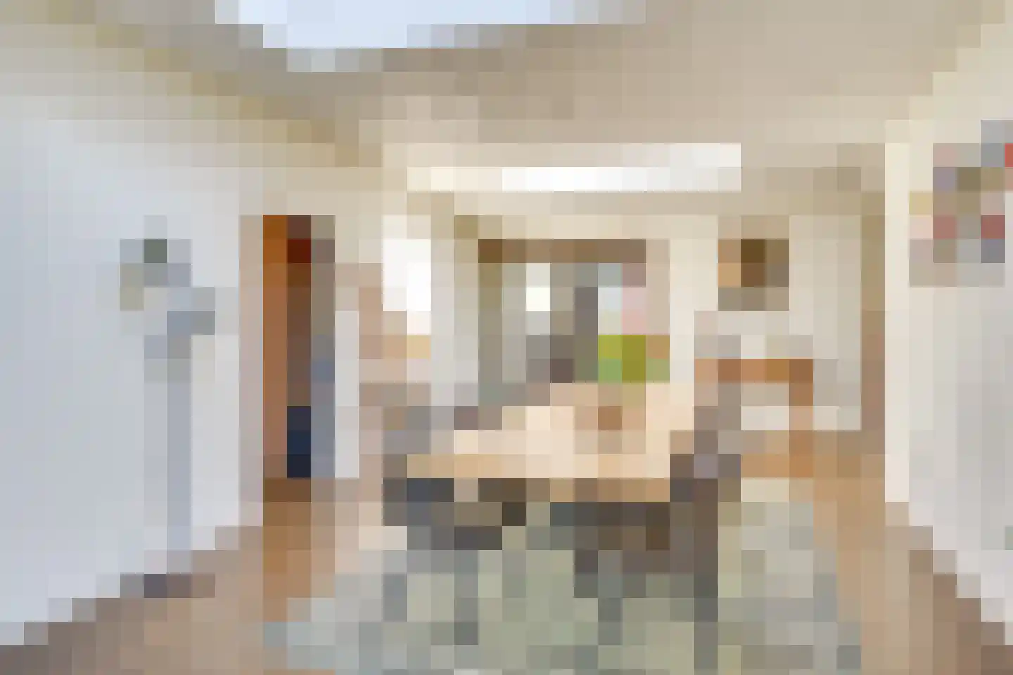 Zeilbergsestraat 47 Deurne thumbnail 27