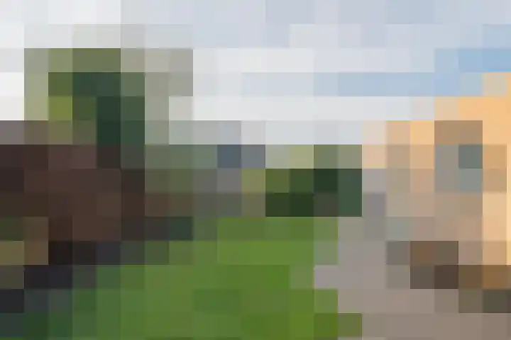 Zeilbergsestraat 55 a Deurne thumbnail 47