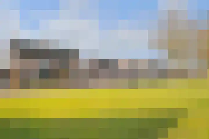 Zeilbergsestraat 55 a Deurne thumbnail 62