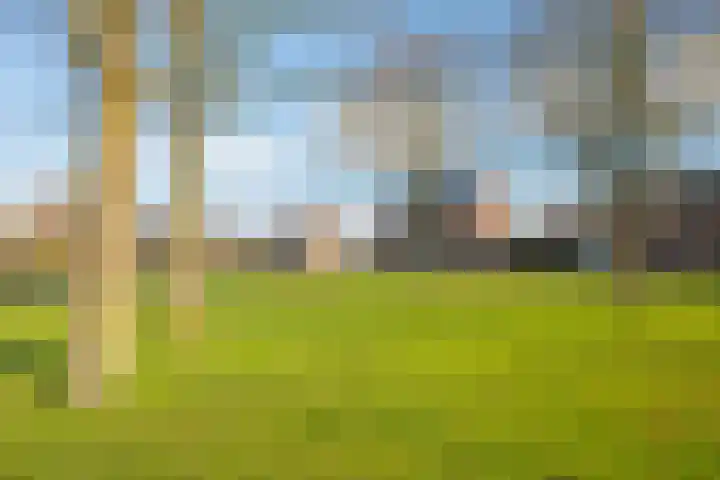 Zeilbergsestraat 55 a Deurne thumbnail 63