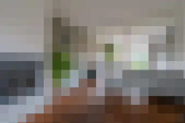 Zeilbergsestraat 55 a Deurne thumbnail 9
