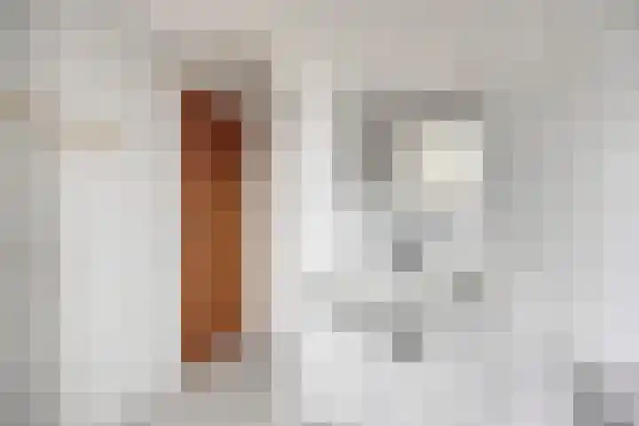 Zeilbergsestraat 71 a Deurne thumbnail 25