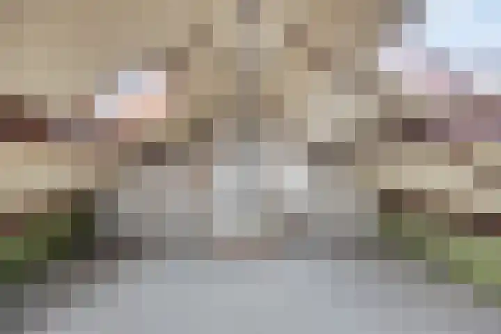 Zeilbergsestraat 71 a Deurne thumbnail 32