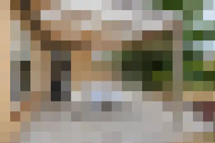 Zeilbergsestraat 71 a Deurne thumbnail 36