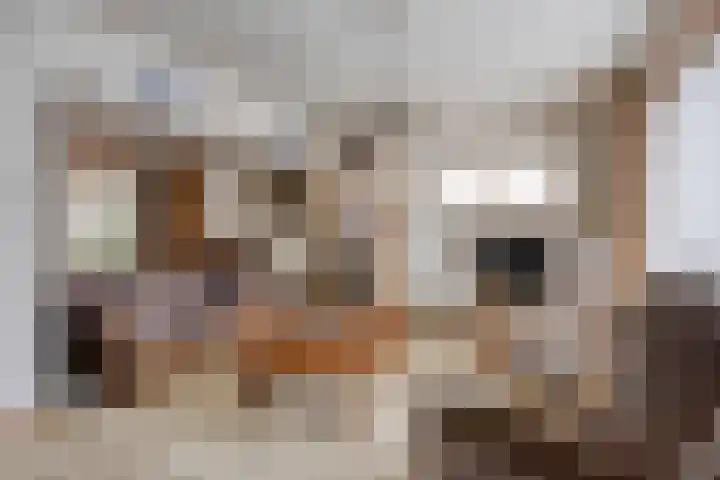Zeilbergsestraat 71 a Deurne thumbnail 6