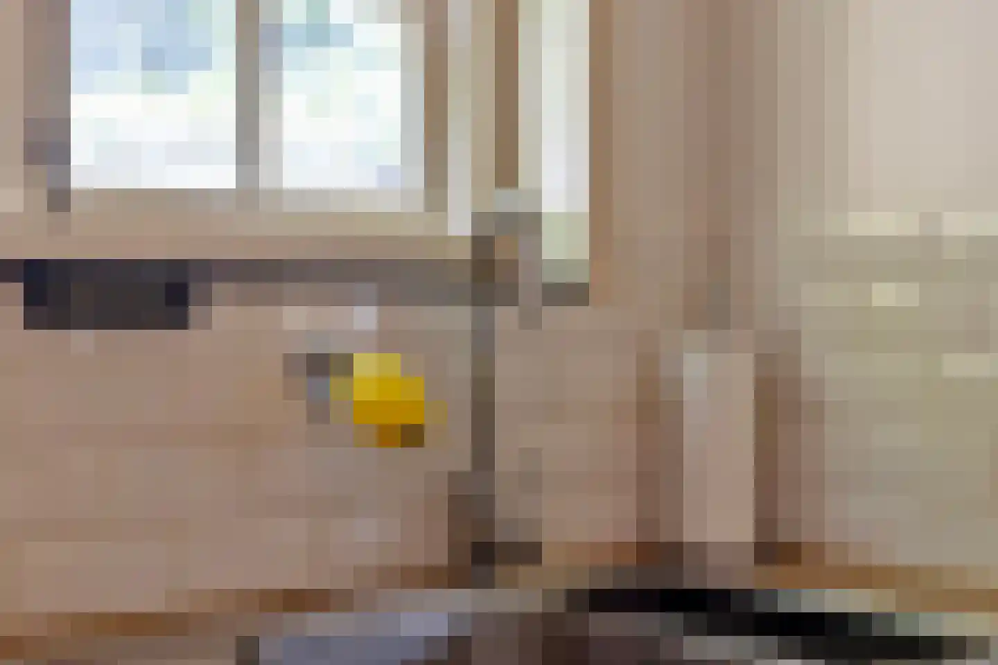 Zeildijk 2 Hulst thumbnail 12
