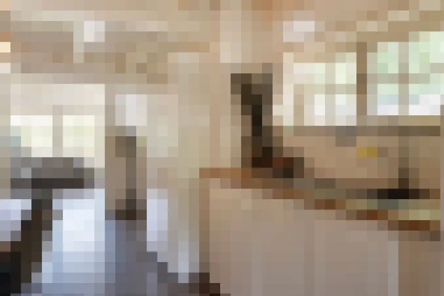 Zeildijk 2 Hulst thumbnail 14