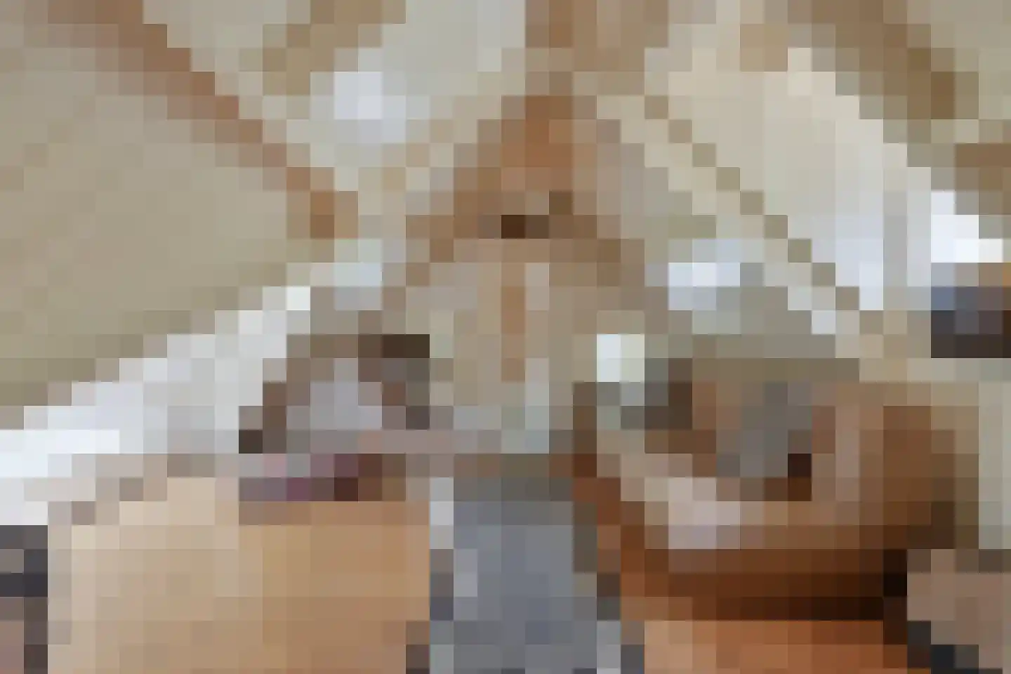 Zeildijk 2 Hulst thumbnail 20