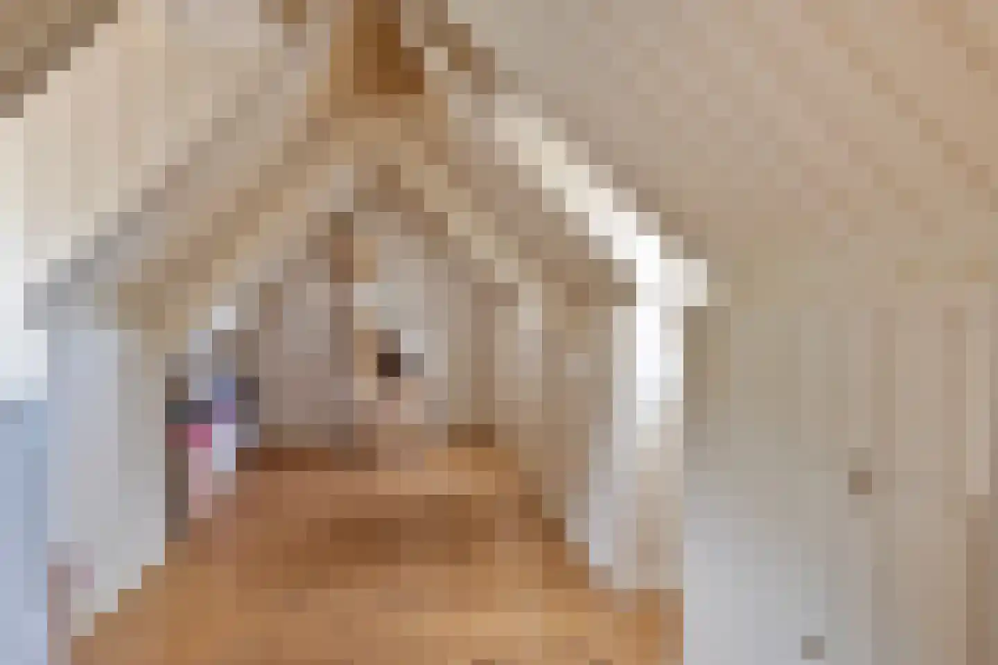 Zeildijk 2 Hulst thumbnail 21